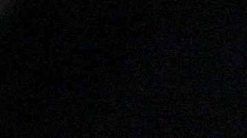 Autoridades hallan en Michigan segundo caso humano de gripe aviar vinculado a vacas lecheras