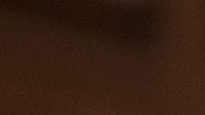 El demócrata Henry Cuéllar está acusado de recibir sobornos.