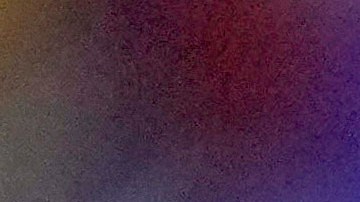 El interés de los votantes es tan alto como cuando los dos mismos candidatos se enfrentaron en las elecciones de 2020.