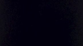 Inter Miami coach Gerardo Martino, center, yells calls from the sideline in the second half of an MLS soccer match against the New England Revolution, Saturday, April 27, 2024, in Foxborough, Mass. (AP Photo/Mark Stockwell)