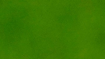 Finalmente el astro francés Kylian Mbappé confirmó que no renovará su contrato con el París Saint-Germain que finaliza al término de esta temporada.