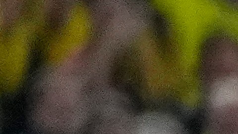 Dortmund celebra la victoria en casa