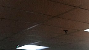 Maine Shooting Reopening