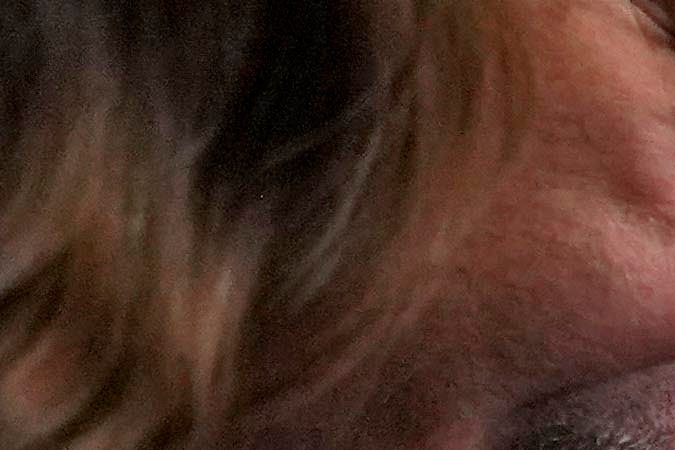 La gobernadora de Arizona Katie Hobbs firma la derogación de la prohibición casi total del aborto de la época de la Guerra Civil.