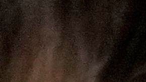 La gobernadora de Arizona Katie Hobbs firma la derogación de la prohibición casi total del aborto de la época de la Guerra Civil.