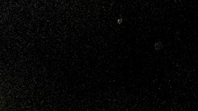 Biden lamentó las muertes de los 4 oficiales que murieron en un tiroteo en Carolina del Norte.