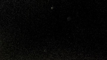 Biden lamentó las muertes de los 4 oficiales que murieron en un tiroteo en Carolina del Norte.