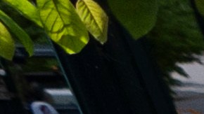 Agentes de policía bloquean un área en el campus de la Universidad Estatal de Portland, en Portland, Oregon.