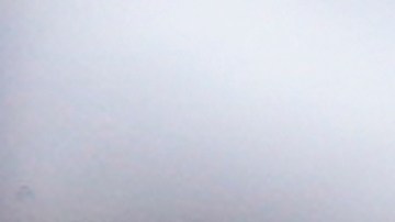 El alemán Marco Reus se despedirá del Borussia Dortmund al final de esta temporada luego de haber jugado con el cuadro teutón durante los últimos 12 años.