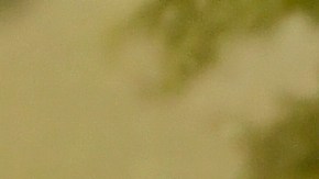 Eiza González rindió tributo a sus raíces mexicanas en la Met Gala