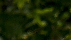 Los jugadores del Real Madrid celebraron su título de liga número 36.