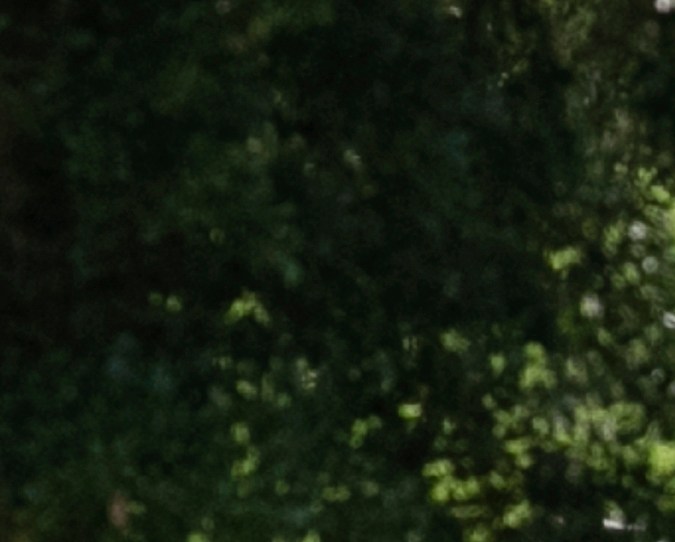 La escena de un accidente mortal en que un autobús que transportaba trabajadores agrícolas se volcó cerca de Dunnellon, Florida.