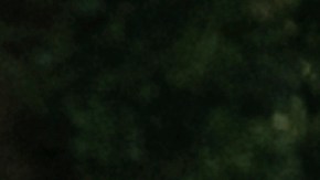 Conductor que causó la muerte de 8 trabajadores mexicanos en Florida estuvo en un accidente 3 días antes