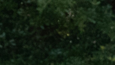 Autoridades confirmaron la muerte de 8 trabajadores mexicanos en choque de autobús en Florida