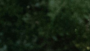 Conductor que chocó al autobús con mexicanos en Florida fumaba aceite de marihuana y tomaba medicamentos