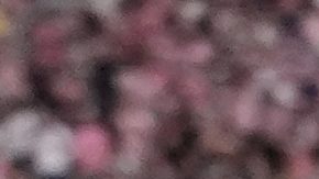 Messi, capitán del Inter Miami.