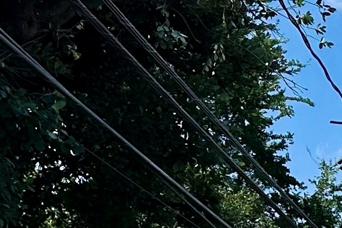 Texas azotada por el clima severo más activo en 13 años: más de 400,000 personas siguen sin luz