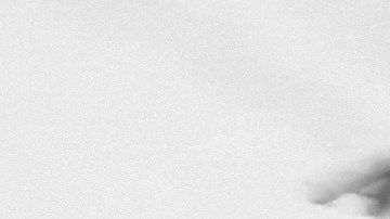 Trump retomó el lenguaje estándar en un documento del FBI revelado el 21 de mayo para afirmar sin fundamento que la administración Biden quería matarlo durante la búsqueda en su propiedad de Mar-a-Lago en 2022.