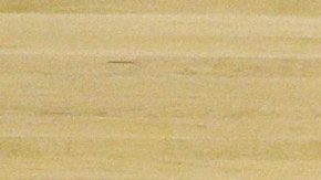 FILE - Wisconsin's Traevon Jackson dribbles past the NCAA logo during practice at the NCAA men's college basketball tournament March 26, 2014, in Anaheim, Calif. The NCAA and the nation's five biggest conferences have agreed to pay nearly $2.8 billion to settle a host of antitrust claims,a monumental decision that sets the stage for a groundbreaking revenue-sharing model that could start directing millions of dollars directly to athletes as soon as the 2025 fall semester. (AP Photo/Jae C. Hong, File)