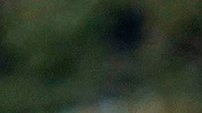 El 24 de mayo de 2024 se conmemora el segundo aniversario de uno de los tiroteos escolares más mortíferos en la historia de Estados Unidos.