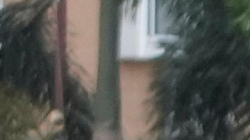 Incendio en un parque de diversiones en la India deja al menos 27 muertos; hay varios niños