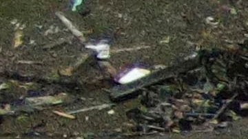Sube a 20 el número de muertos por las tormentas y tornados que azotan al centro de EE.UU.