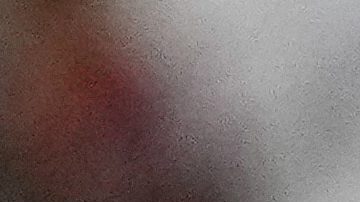 Edinson Cavani durante su último partido con la selección de Uruguay en el Mundial de Qatar 2022.