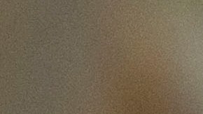 DOL descubre a menores trabajando para la empresa avícola responsable de la muerte de un adolescente en 2023