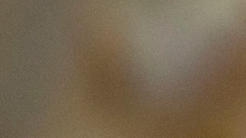 DOL descubre a menores trabajando para la empresa avícola responsable de la muerte de un adolescente en 2023