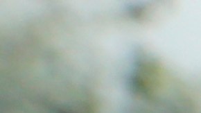 The street in front of the West Los Angeles police station has yellow tape prohibiting the parking of cars Friday, Feb. 8, 2013. This is in response to threats by former LAPD officer Chris Dorner, who is suspected in a spree of violence as part of a vendetta against law enforcement after being fired by the department. He is also a suspect in the shooting deaths of a former LAPD captain's daughter and her fiance, and two other shootings that left an officer dead and two others wounded. (AP Photo/Reed Saxon)