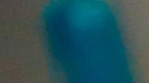 Venta de carne cultivada en laboratorio queda prohibida en Florida tras firma de gobernador