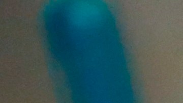 Venta de carne cultivada en laboratorio queda prohibida en Florida tras firma de gobernador