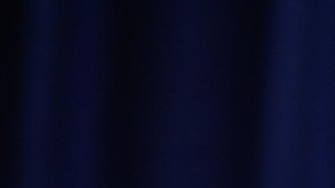 Joe Biden, presidente de la nación