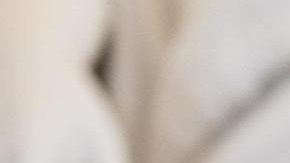 Joe Biden, presidente estadounidense