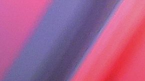 William ‘Camarón’ Zepeda