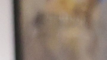 Fernando Beltrán, Jaime Munguía y Óscar de la Hoya