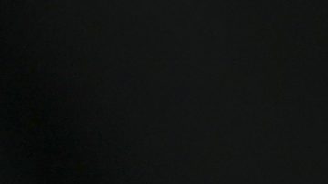 William 'Camarón' Zepeda