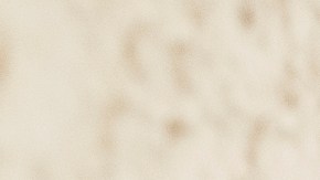 Kevin Jimenez cruza todos los días a Mexicali a Calexico para trabajar.