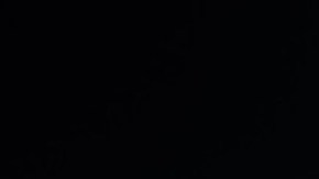 Chevrolet Camaro ZL1 2024