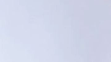 Las madres de Miss USA y Miss Teen USA aseguraron que sus hijas renunciaron a sus coronas porque fueron abusadas e intimidadas