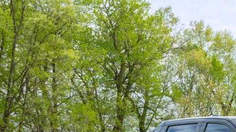 Chevrolet Silverado EV RST First Edition 2024