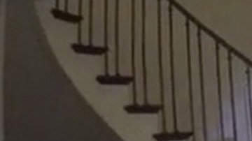 David DePape ingresó a la casa de Nancy Pelosi para atacar a Paul Pelosi