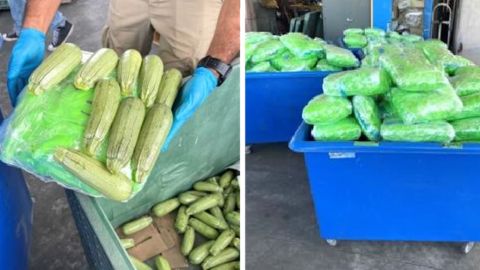 Agentes de aduanas confiscaron droga en un cargamento de calabazas.