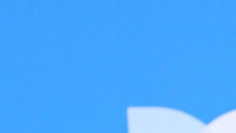 Evaluna Montaner | Foto: Mezcalent