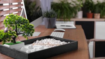 El Feng Shui te puede ayudar a armonizar tu lugar de trabajo.