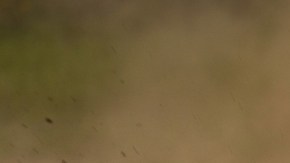 Ford Mustang Mach-E Rally