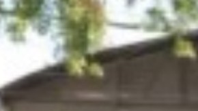 Francisco Núñez posa con seis de sus ocho hijos.