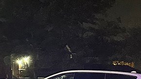 Crimen en Georgia