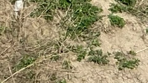 Rescatan a ocho adolescentes, uno gravemente herido, de un silo de misiles abandonado en Colorado