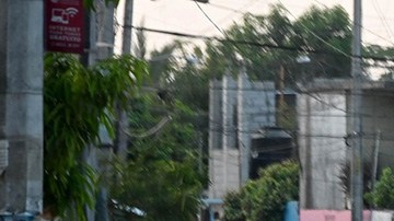 Violencia en Acapulco